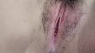 枫与柃